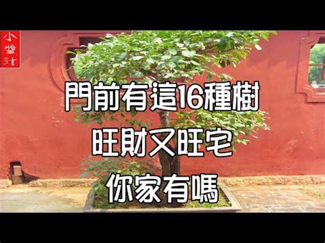 福木風水